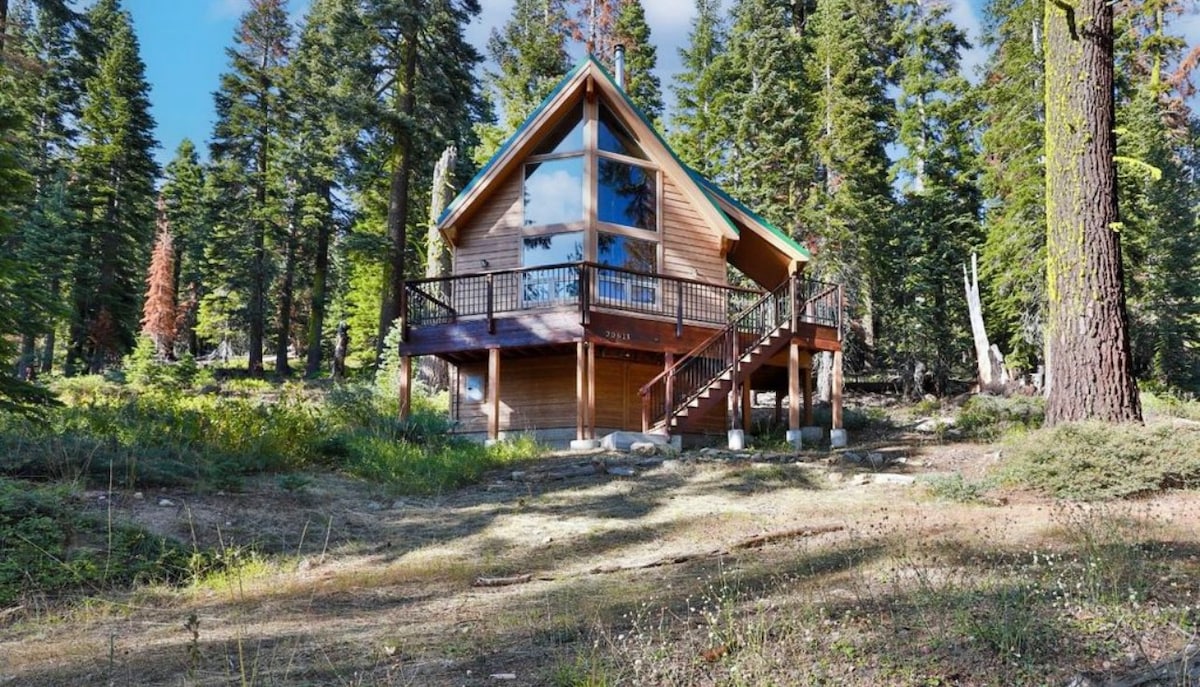 Cozy Lake Tahoe Cabin - Ultimate Ski/Summer House