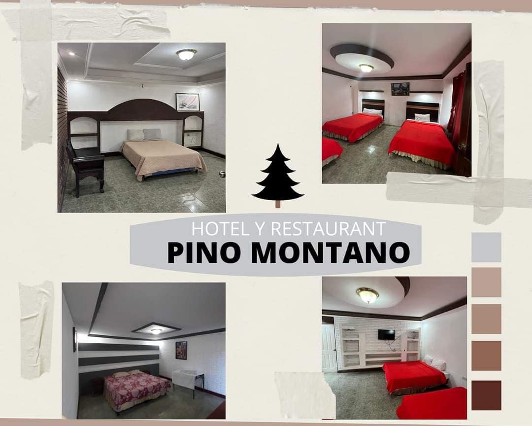 Hotel Pino Montano