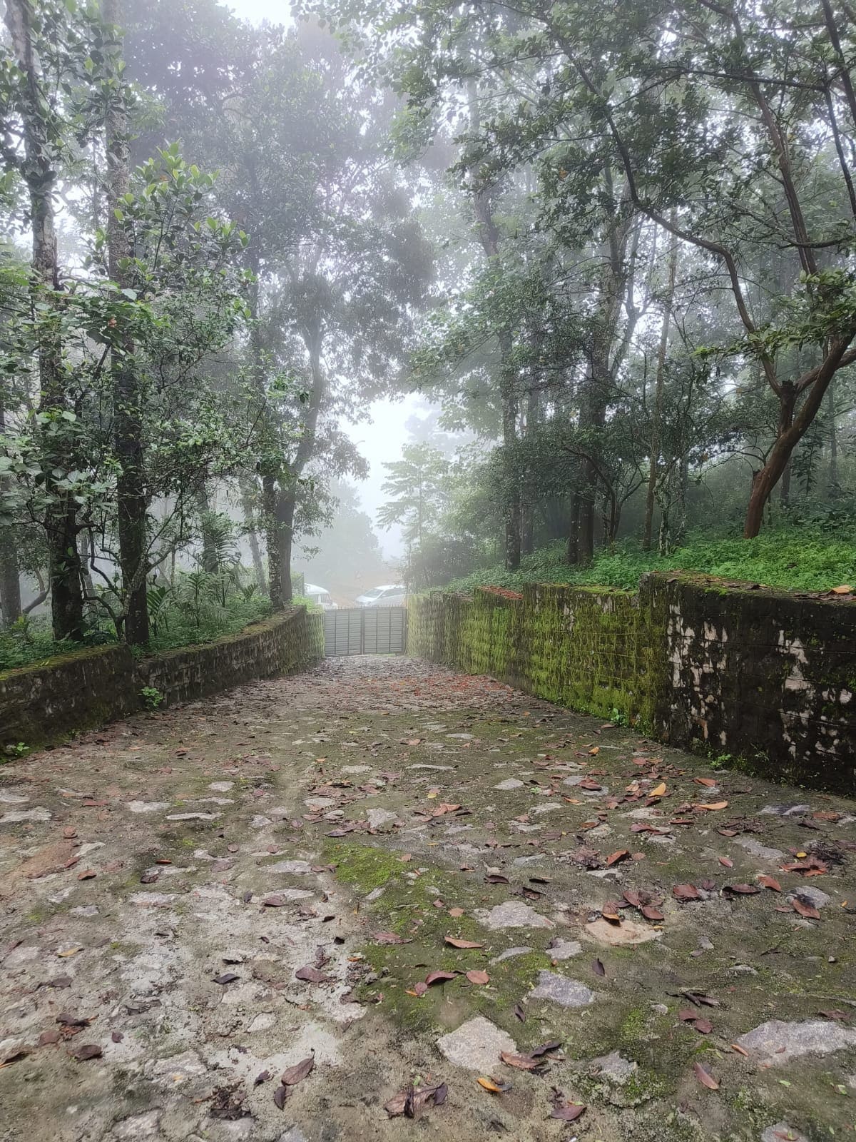 Container in Kodaikanal hills