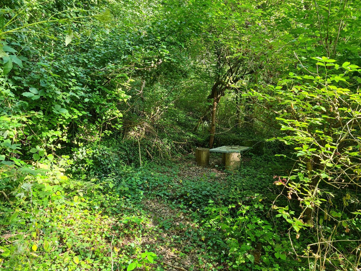 Naturoase Säntisblick am Wald und Bach