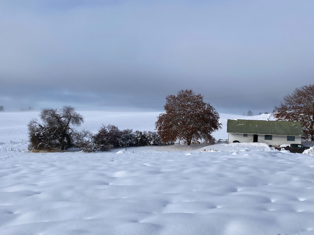 蓝鸟滑雪小屋