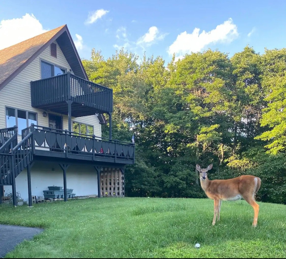 山上的迷人小屋