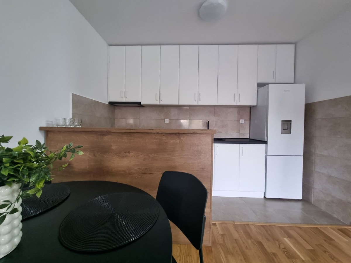 Apartment Moscow Vrbas