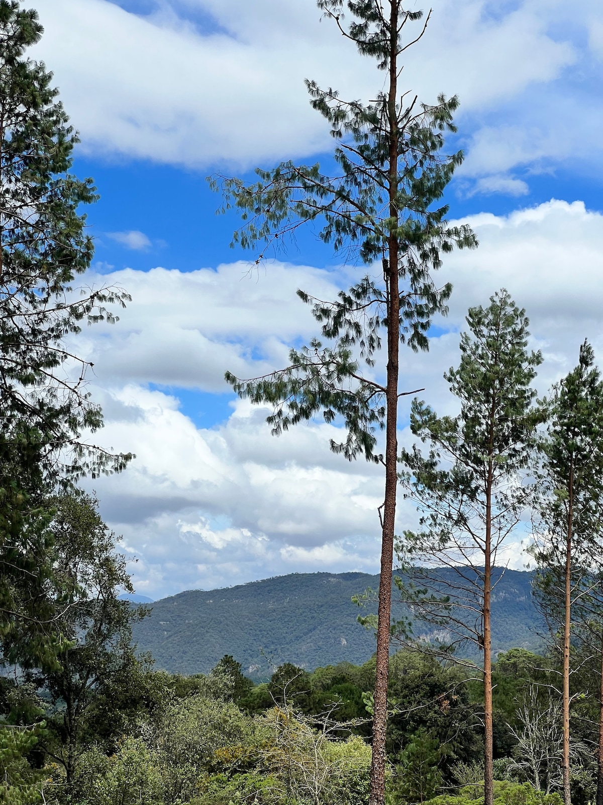 Rancho Los Ángeles