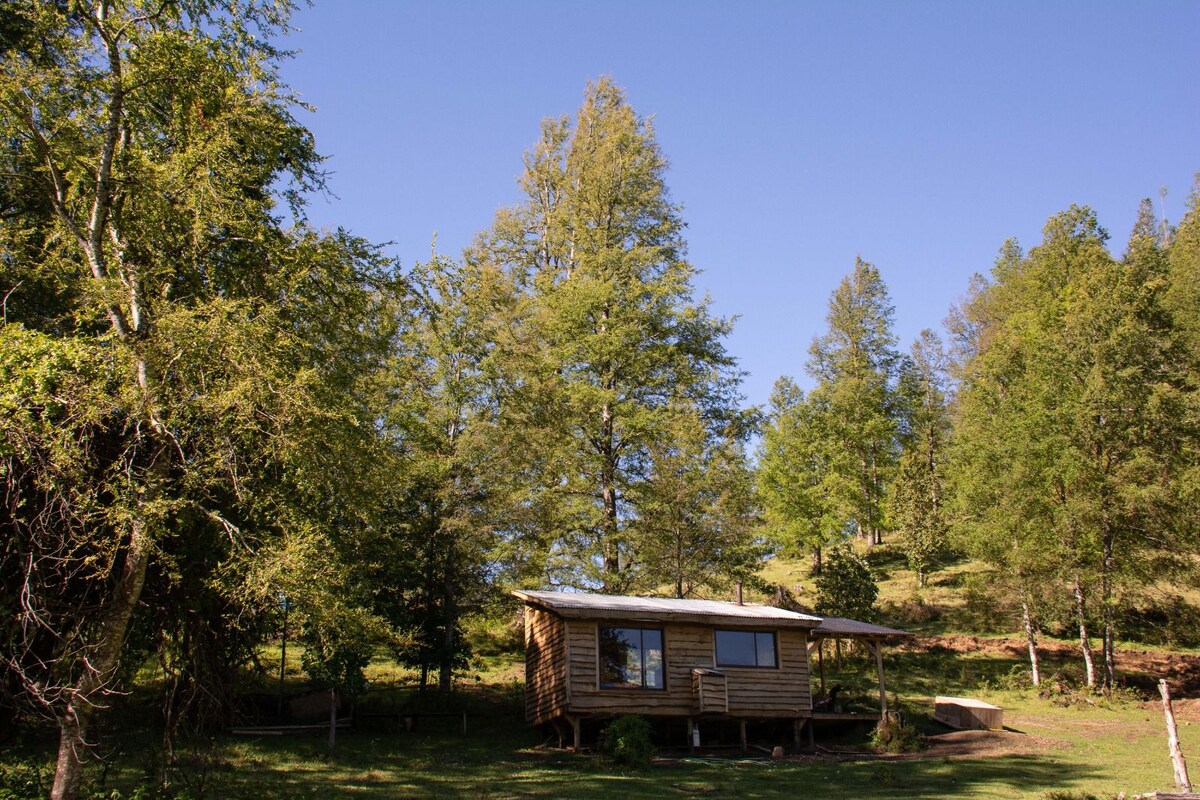 Mini Casa en medio del bosque