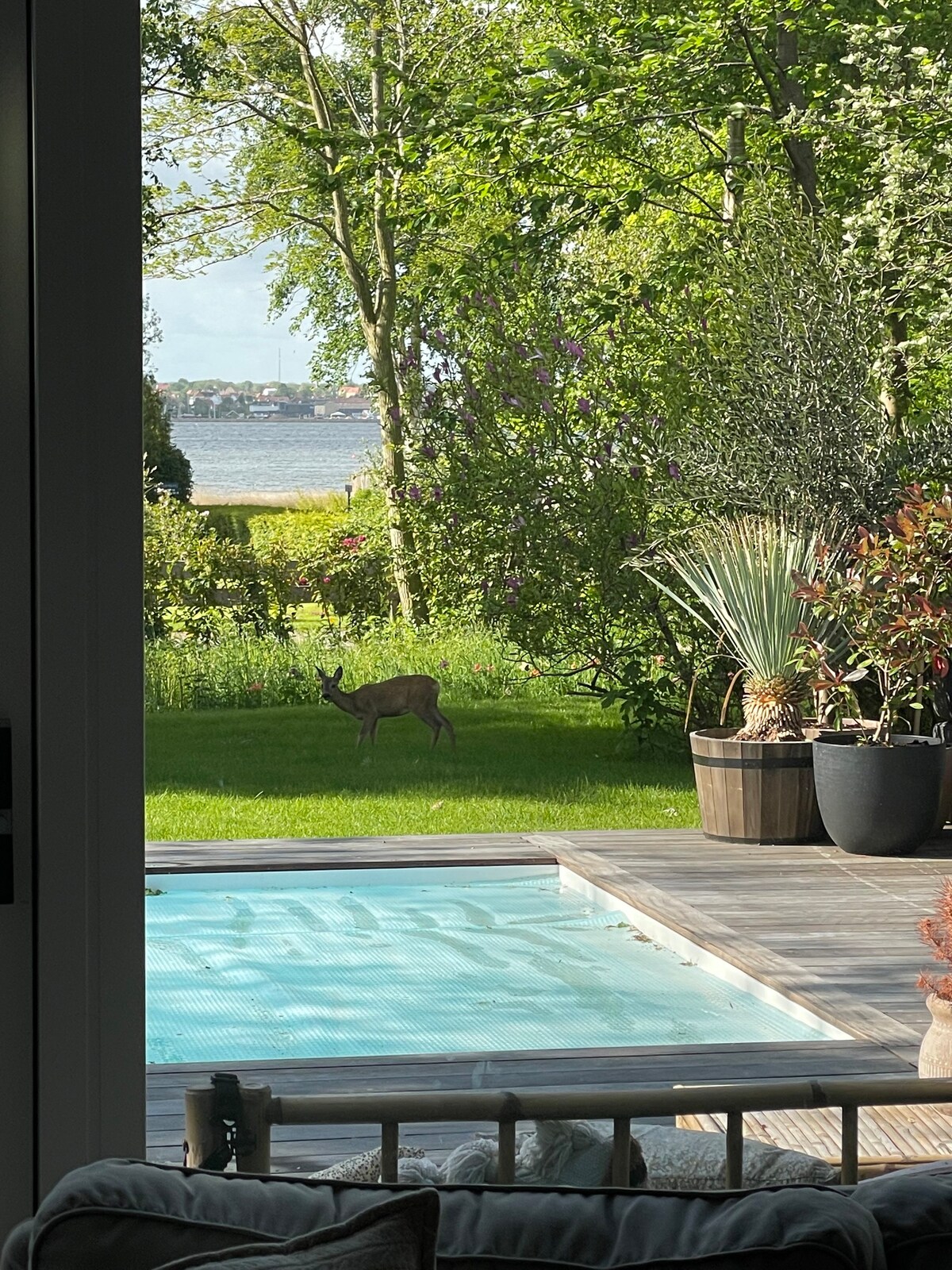 Luksus sommerhus med Pool og Spa