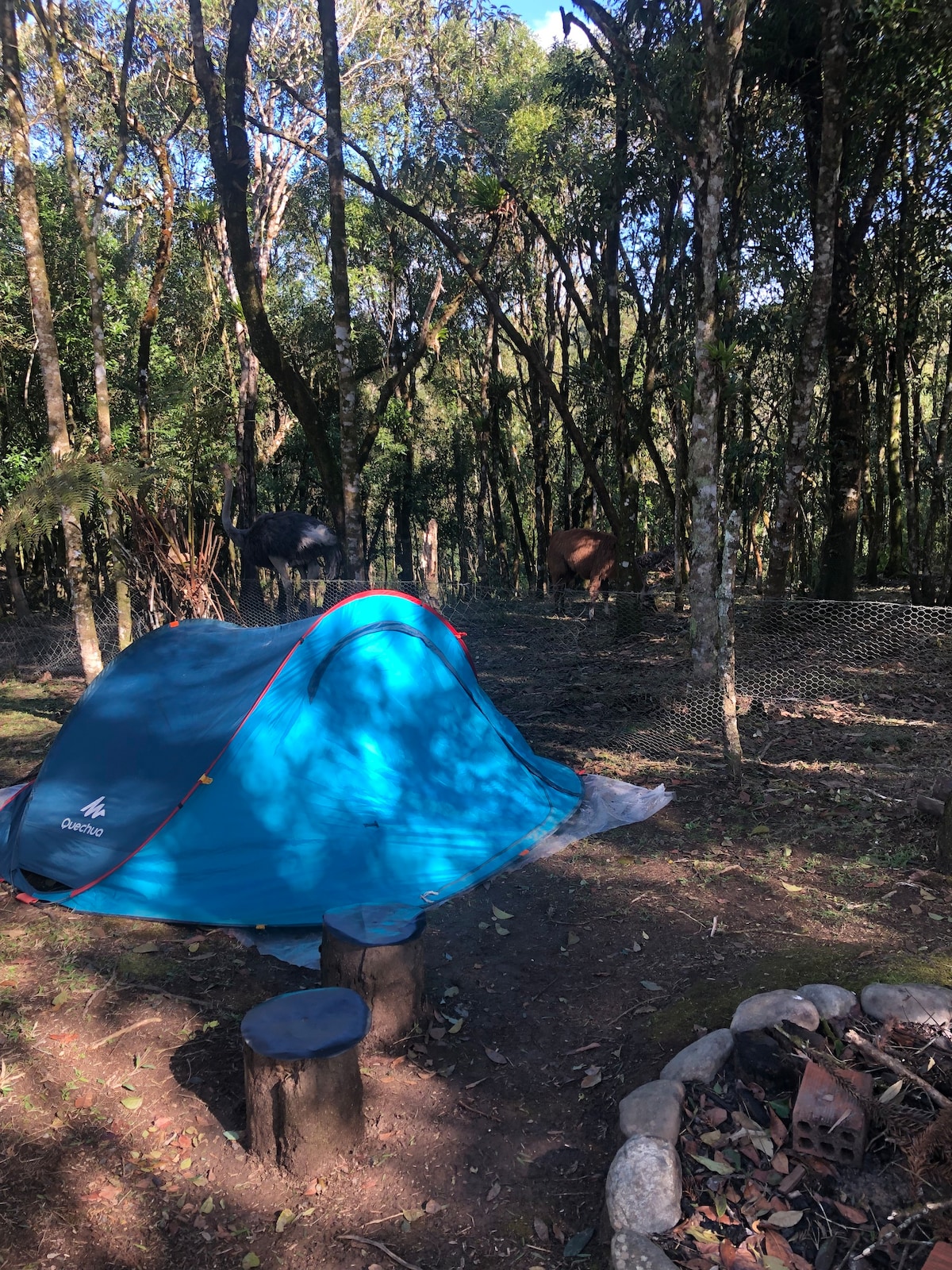 Cabana do Bosque -Rancho Künzel- Campo Alegre