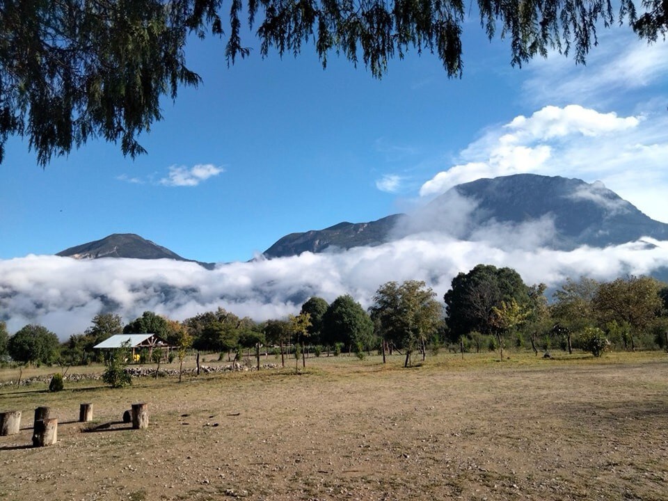 Cabaña Palo Blanco 3