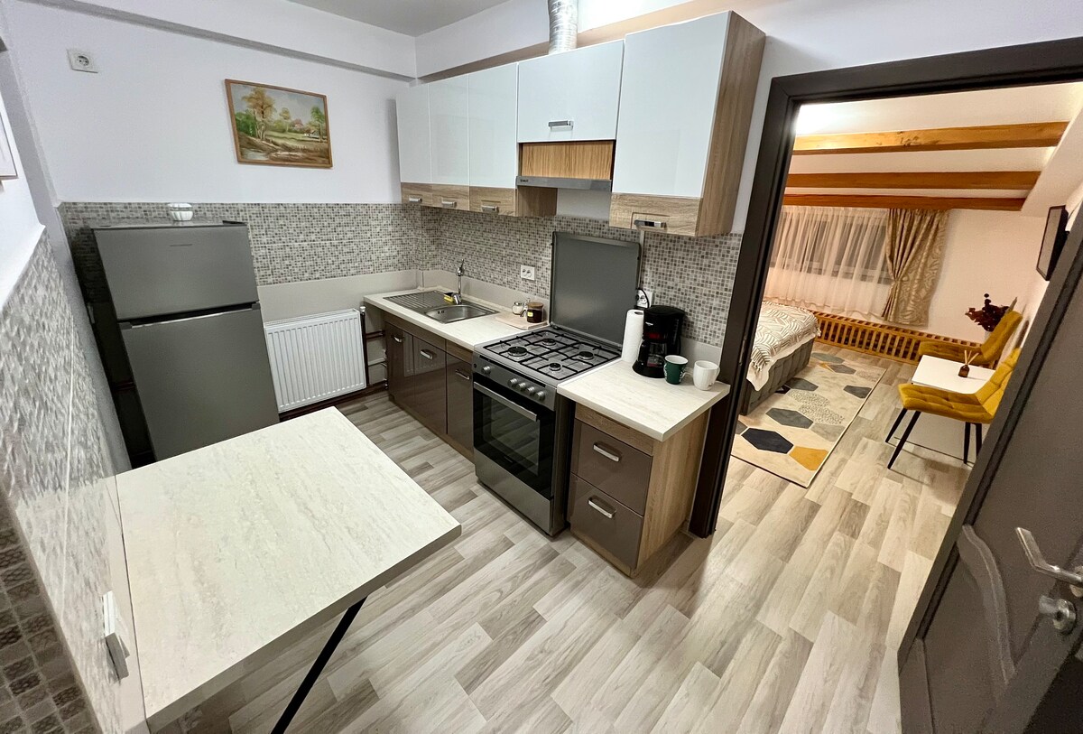 Apartament în centrul orașului-Parc Vatra Dornei 3