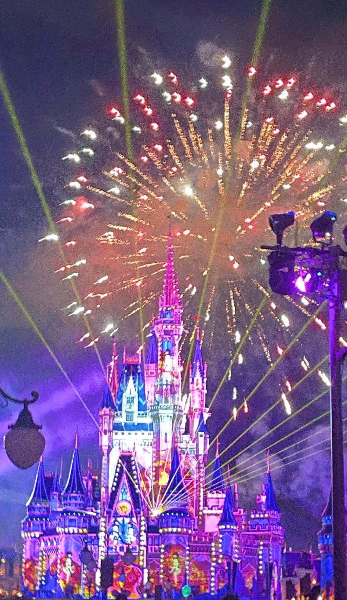 Disney World Castle Exp.