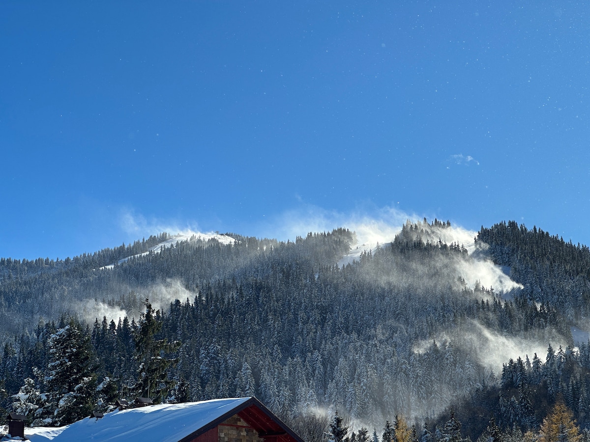 Borovets Paradise