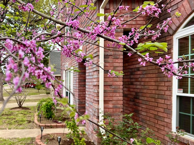 斯普林(Spring)的民宿