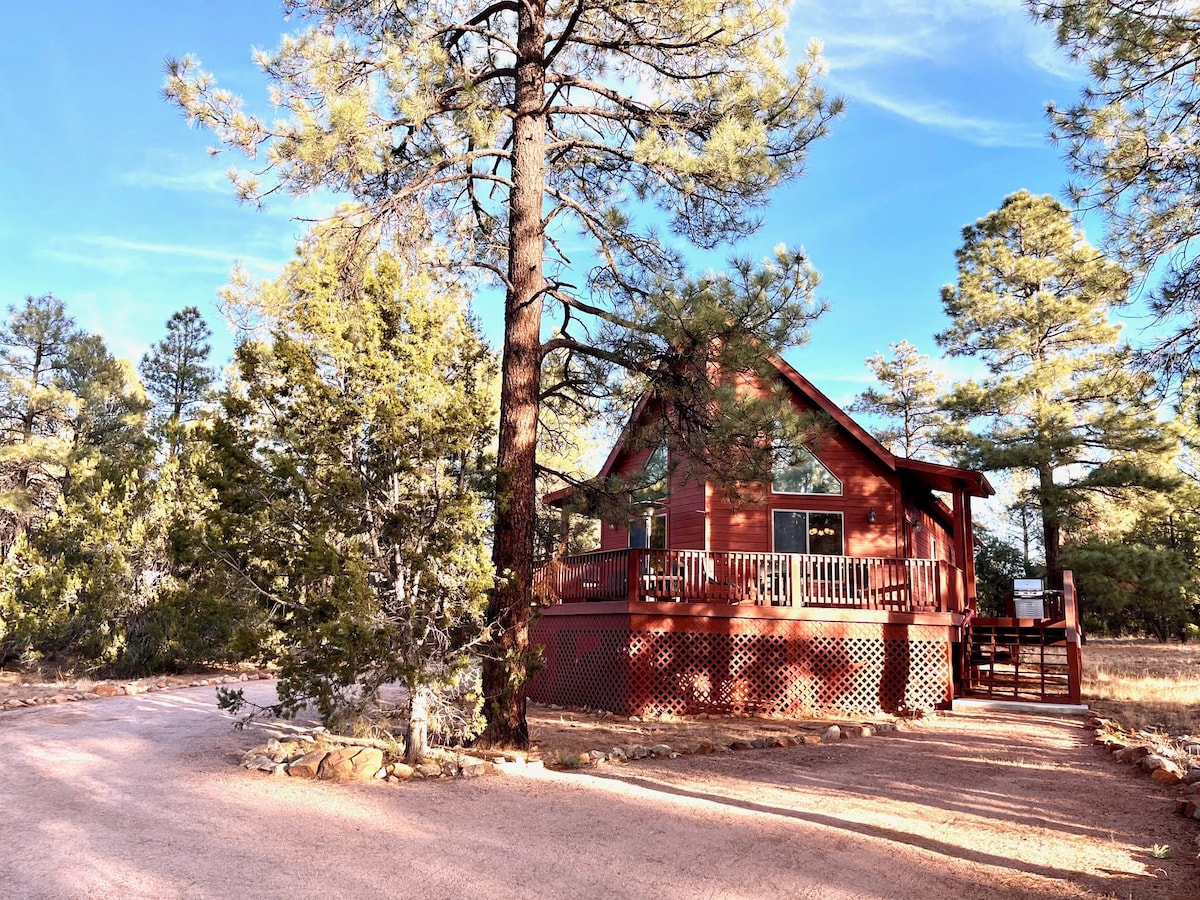 Homestead in the Pines