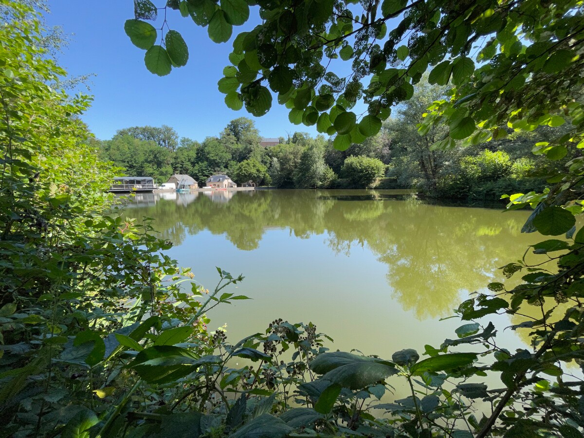 Domaine du moulin de Rayssac