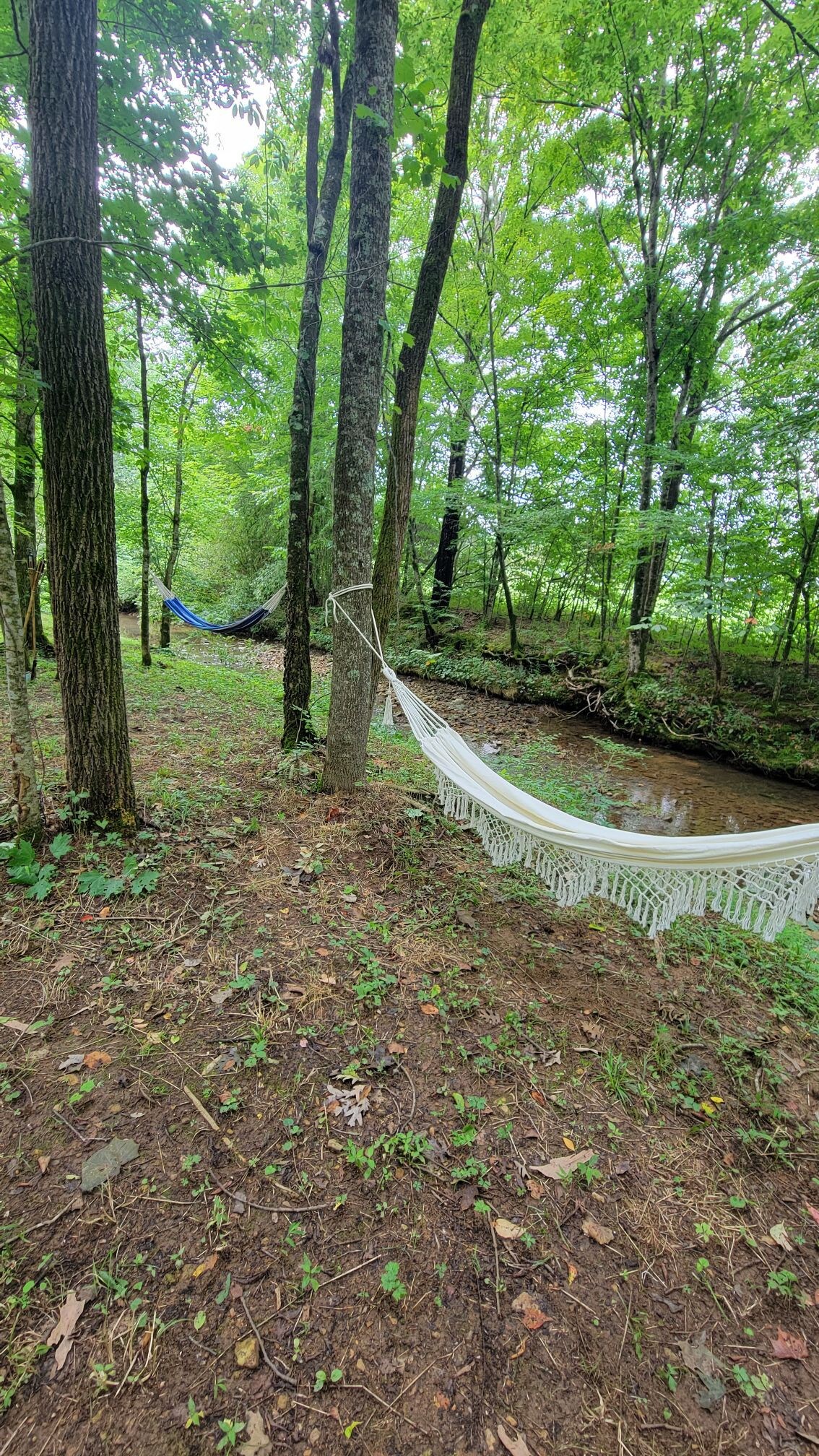 Creekside camping at E.V.O.O.