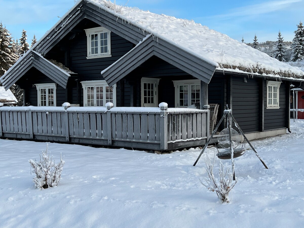 Selbusjøen原木小木屋
