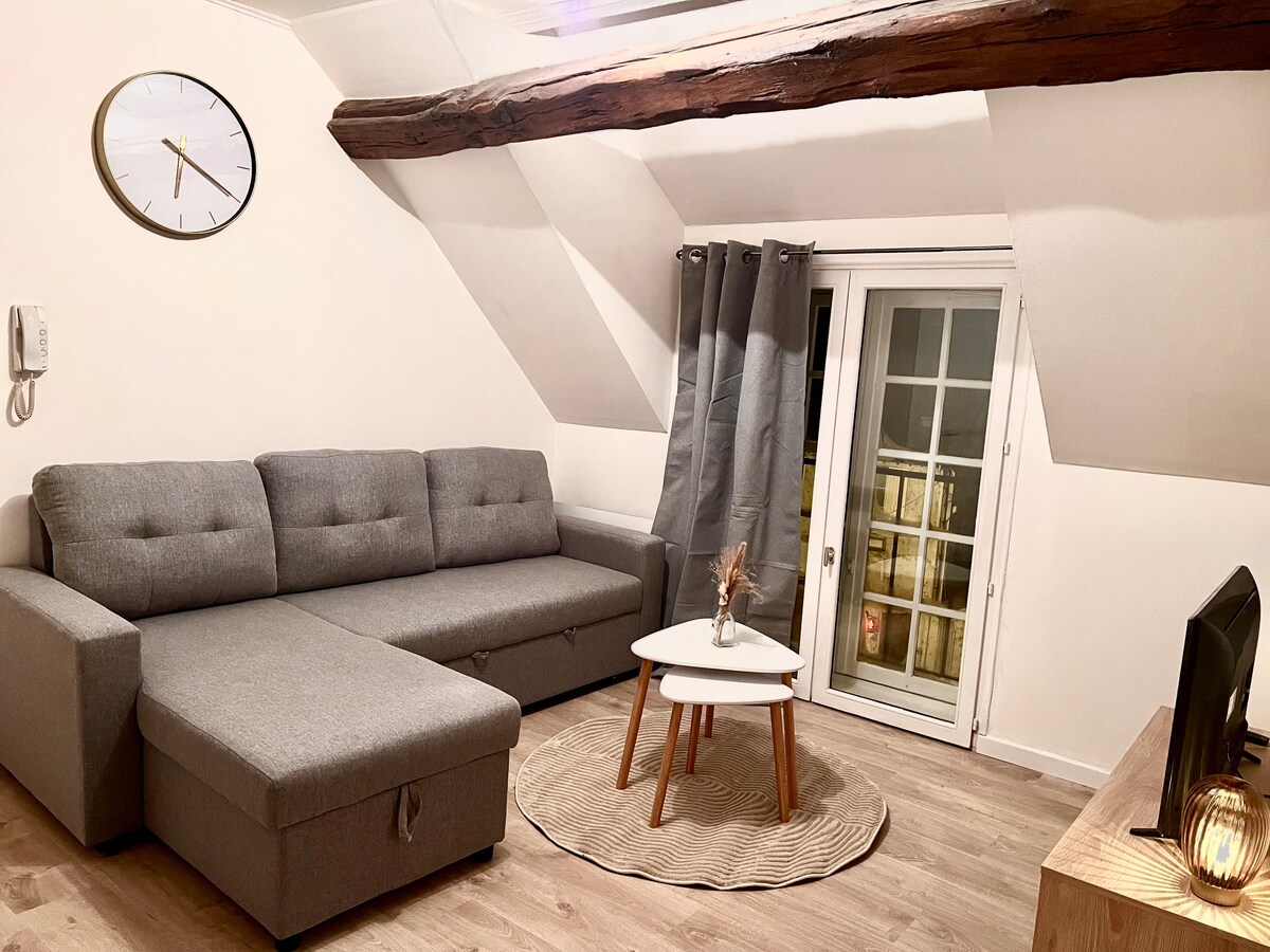 Appartement Cosy Nemours