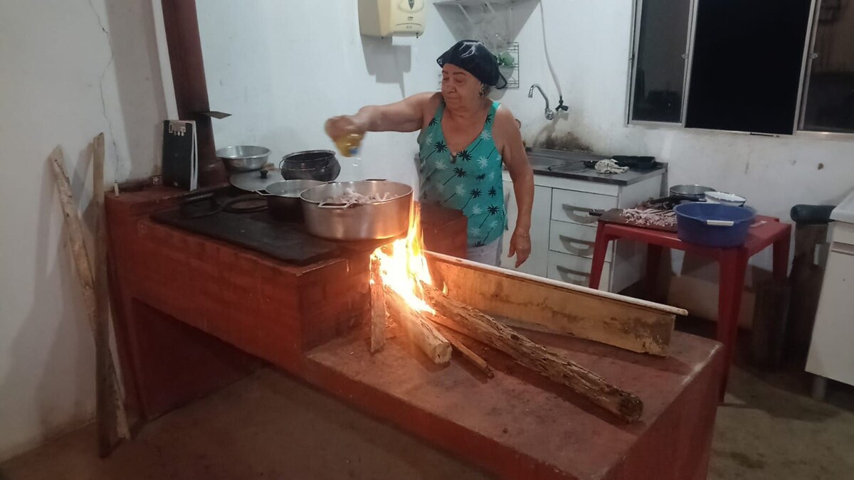 fazenda dos campos
roça