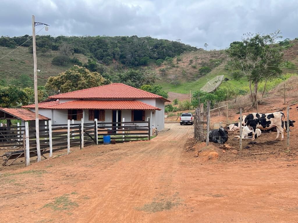 fazenda dos campos
roça