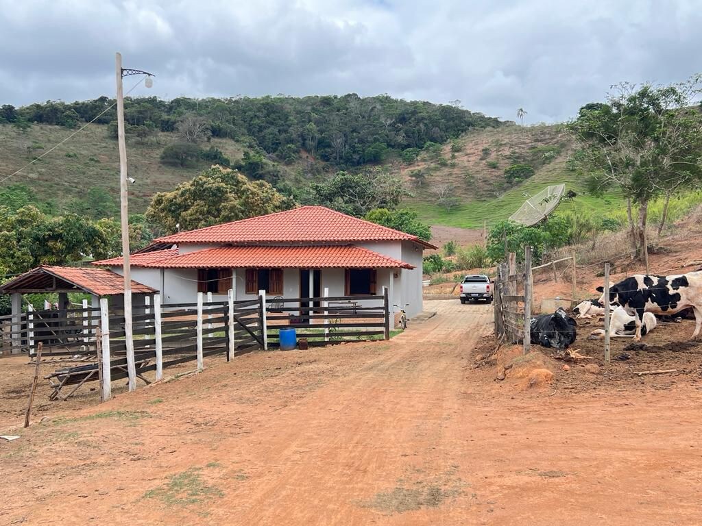 fazenda dos campos
roça