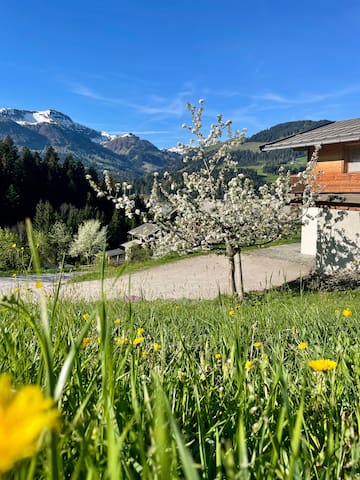 Sankt Johann in Tirol的民宿