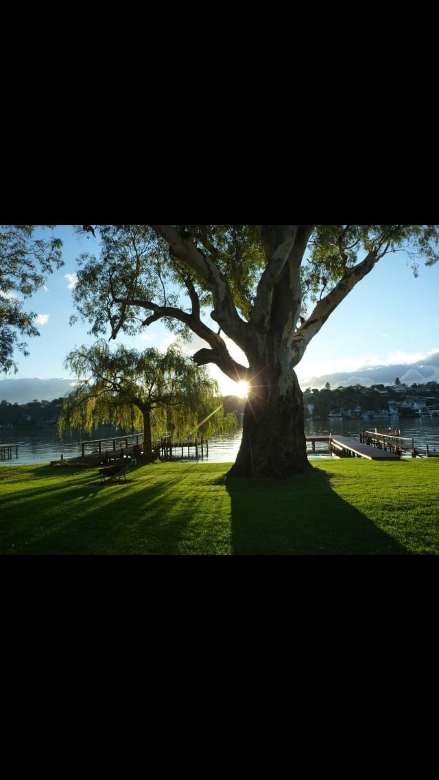 Mannum, 
Shangri-La