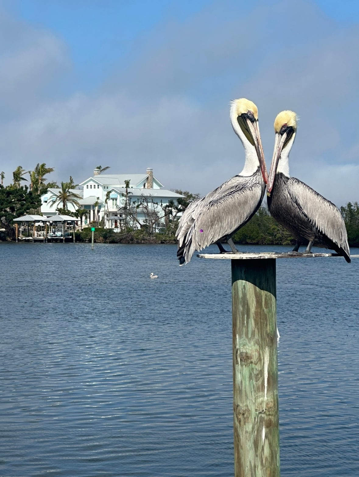 Boater’s Paradise in Bokeelia!