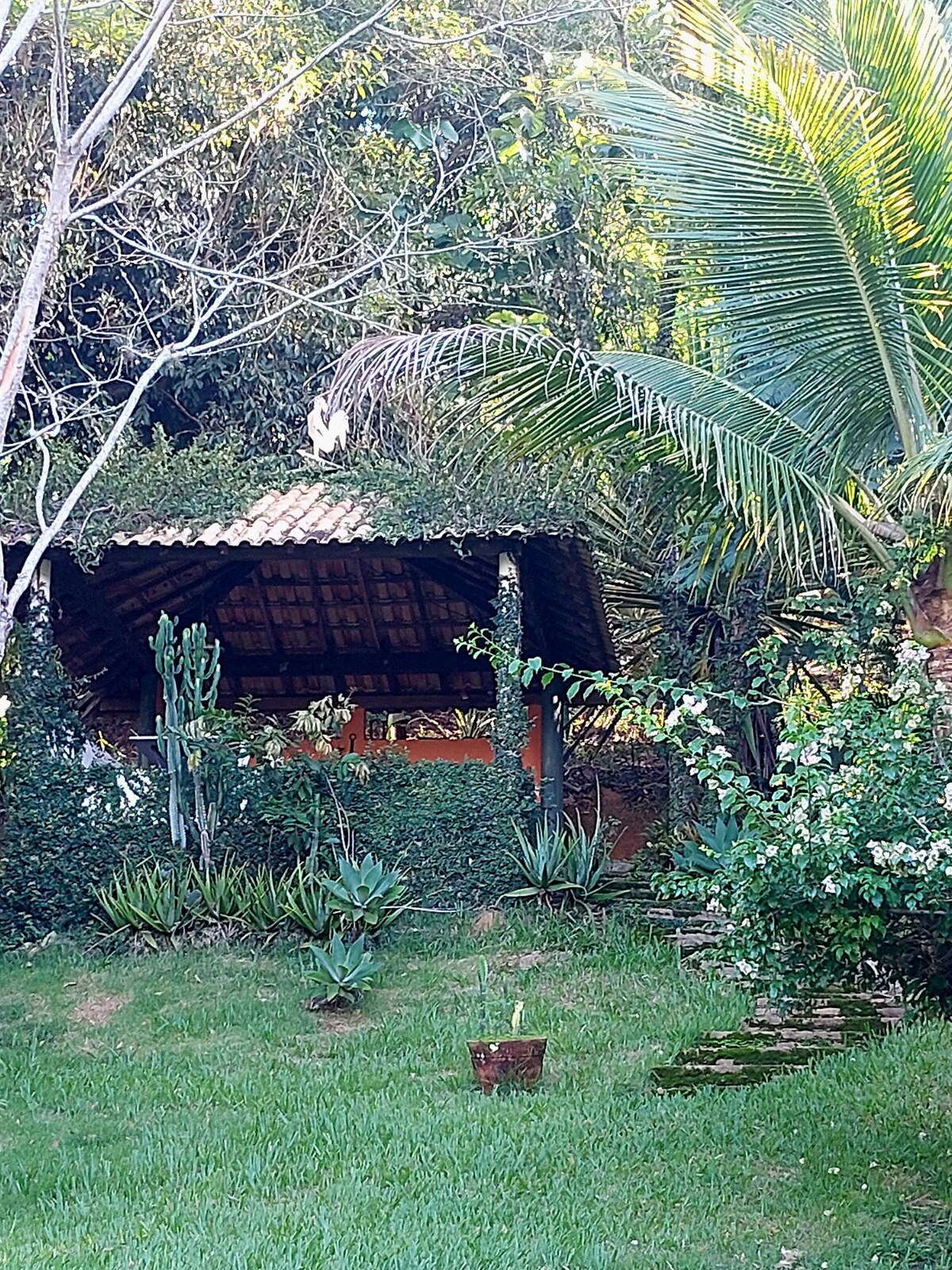 Areias的度假木屋角落。