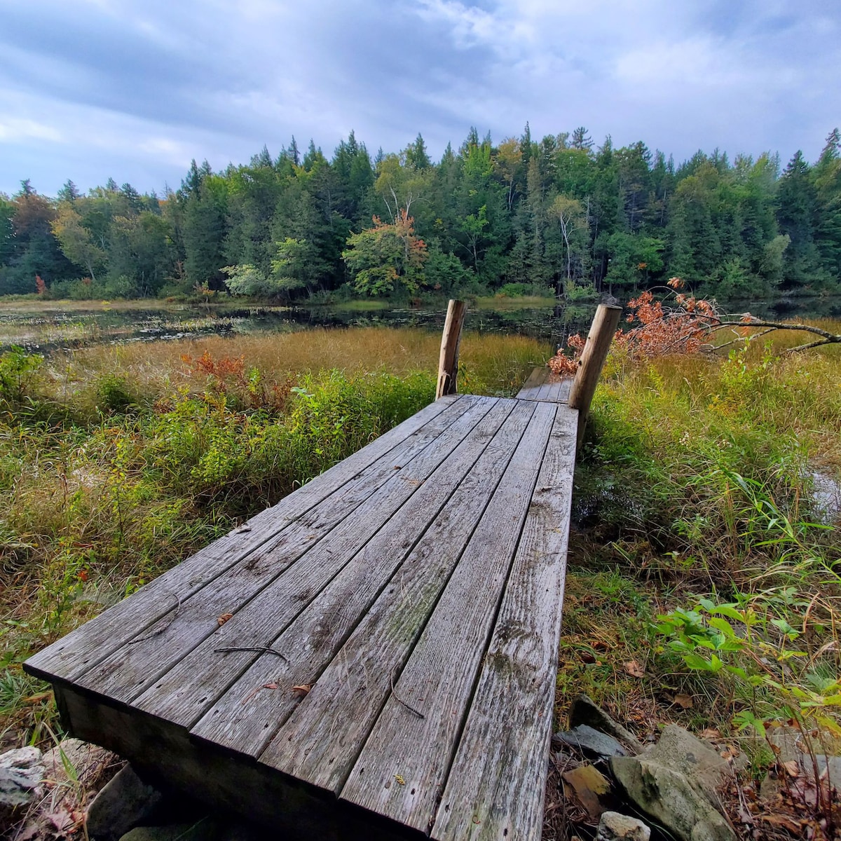 Tranquil Cove on Sebec Lake