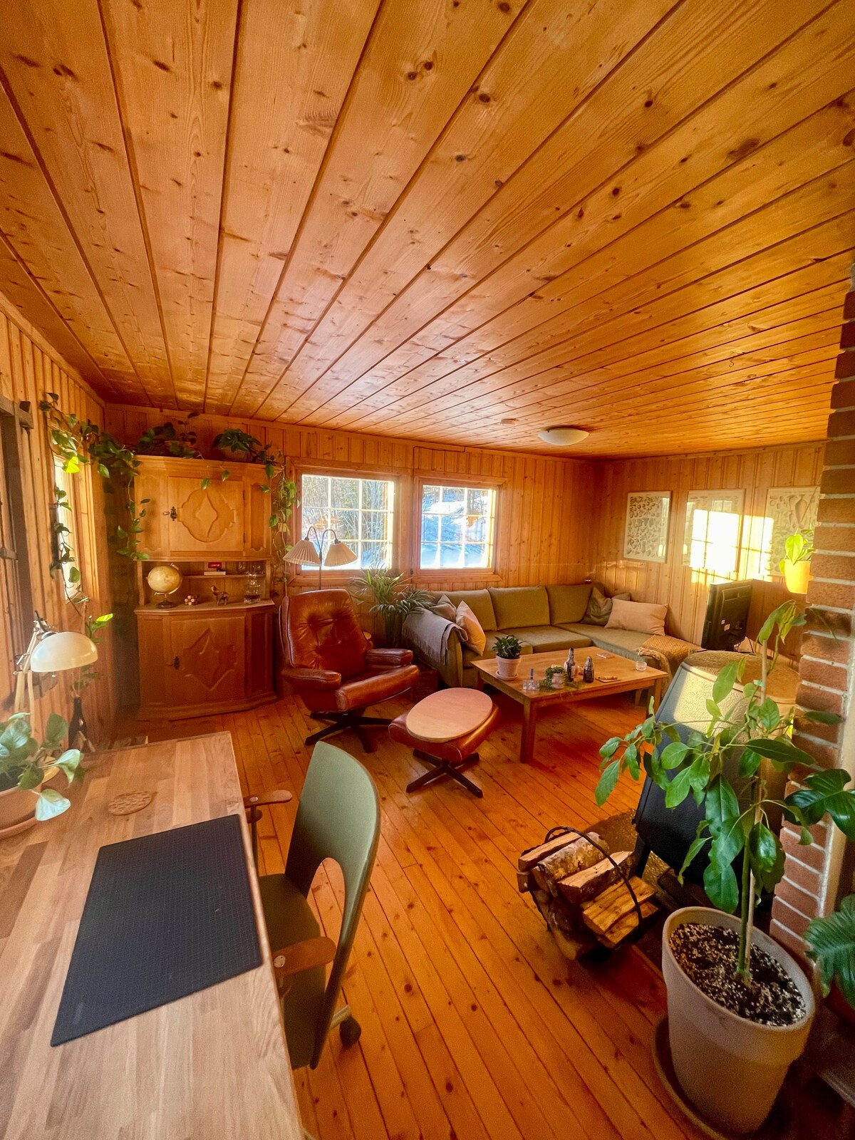 Cute cozy cabin