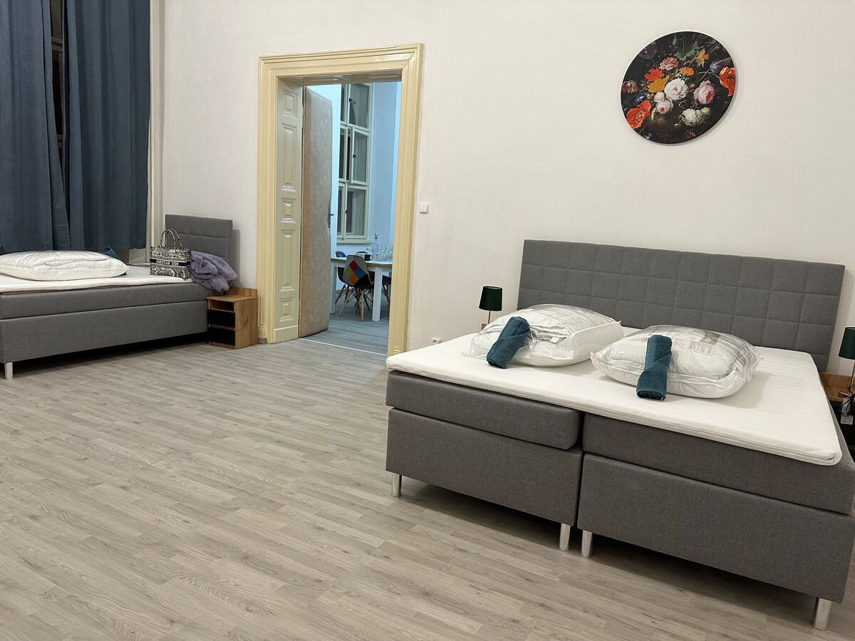 Apartment 87 Praha 1 Centrum- 95 m2- parking