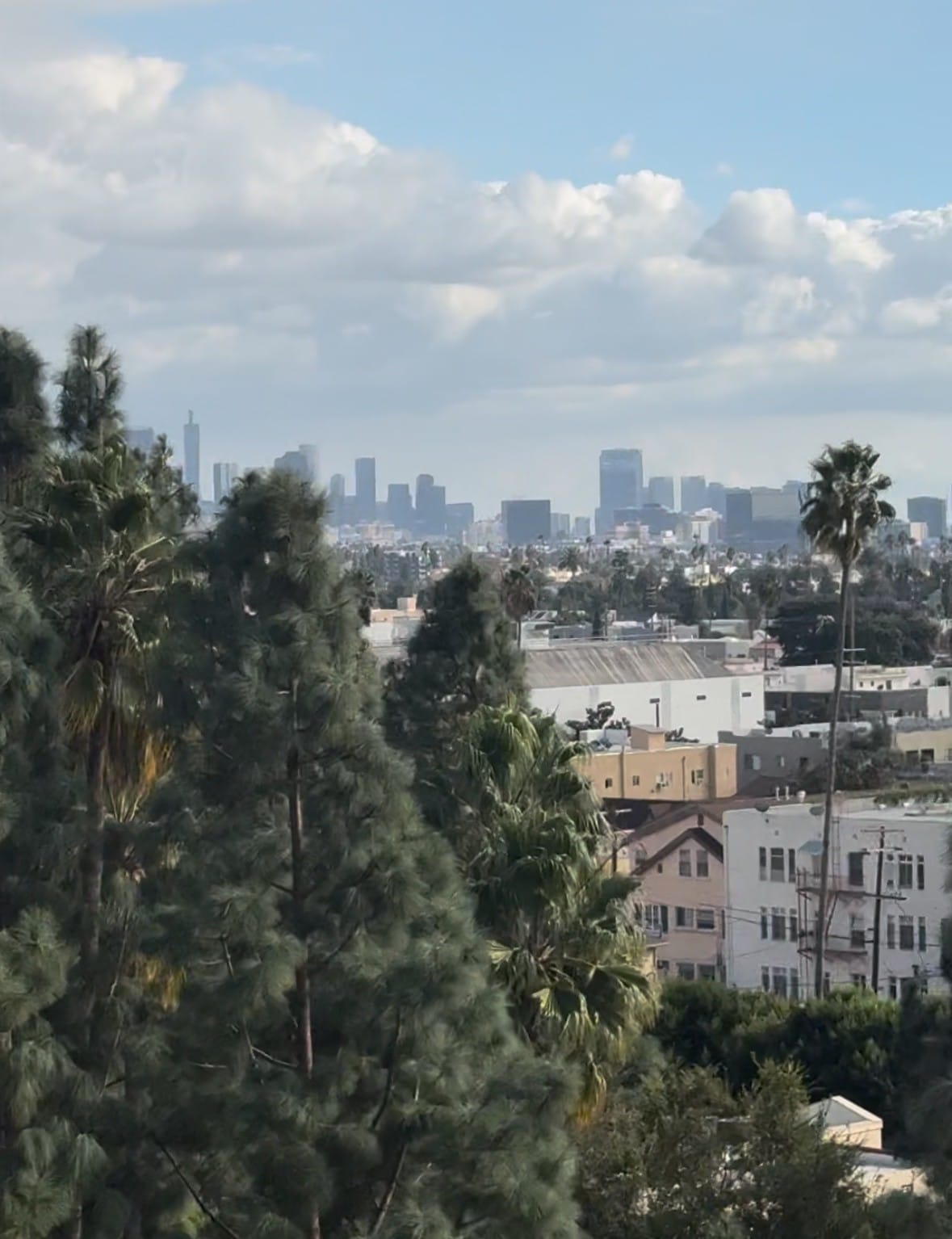 Center of Hollywood CRAZY Views