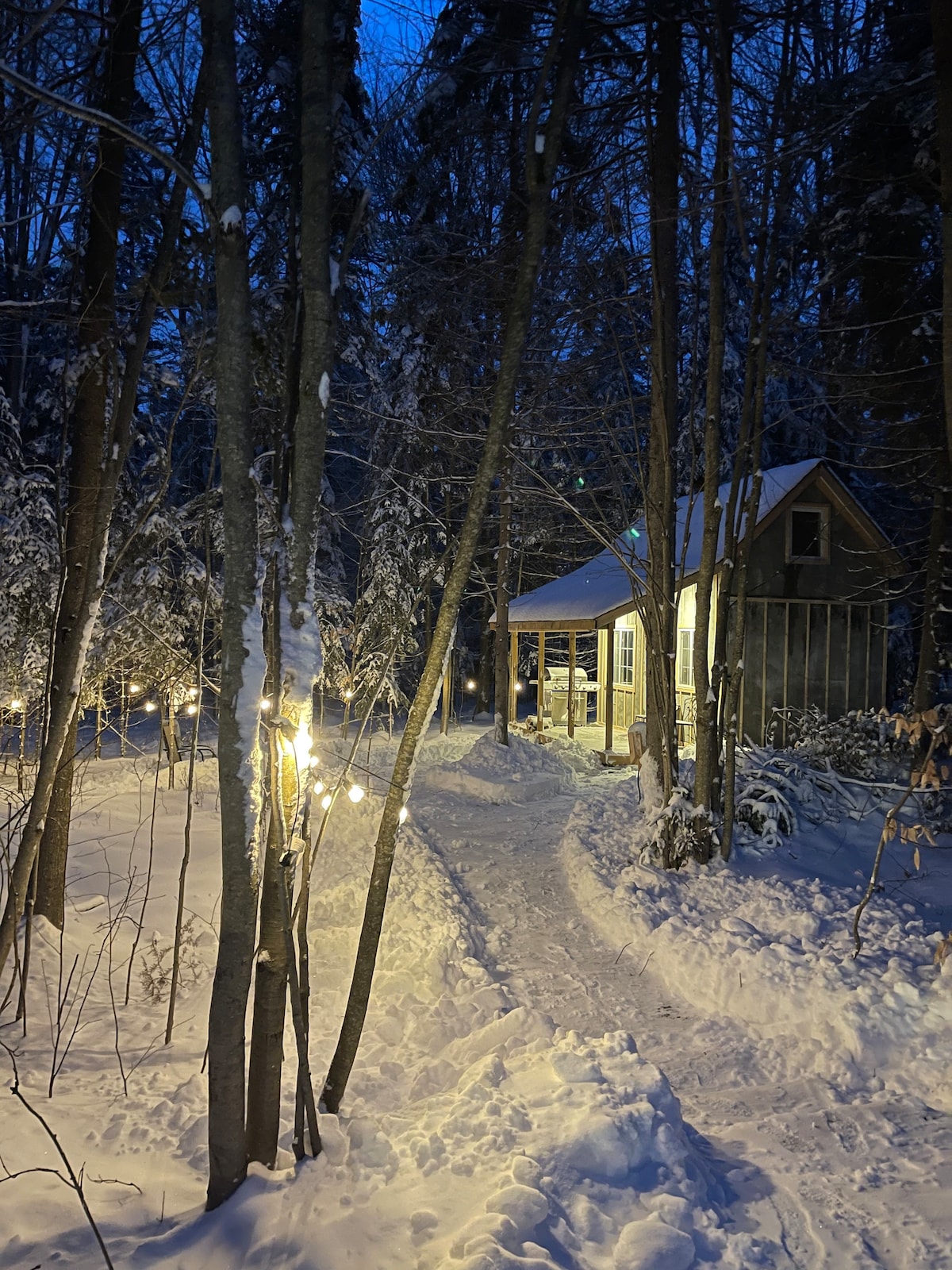 班克罗夫特小屋度假体验