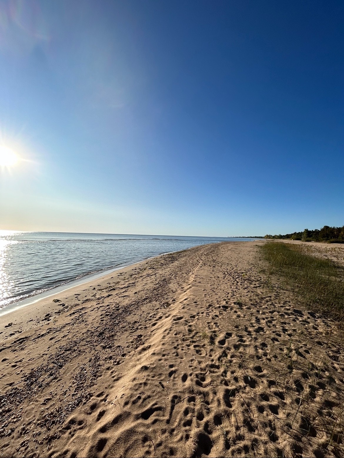 The Blue Elk - Lake Huron Views & Beach Access