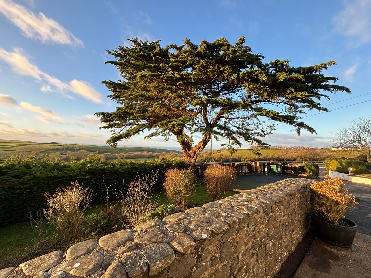 Cardigan Bay House