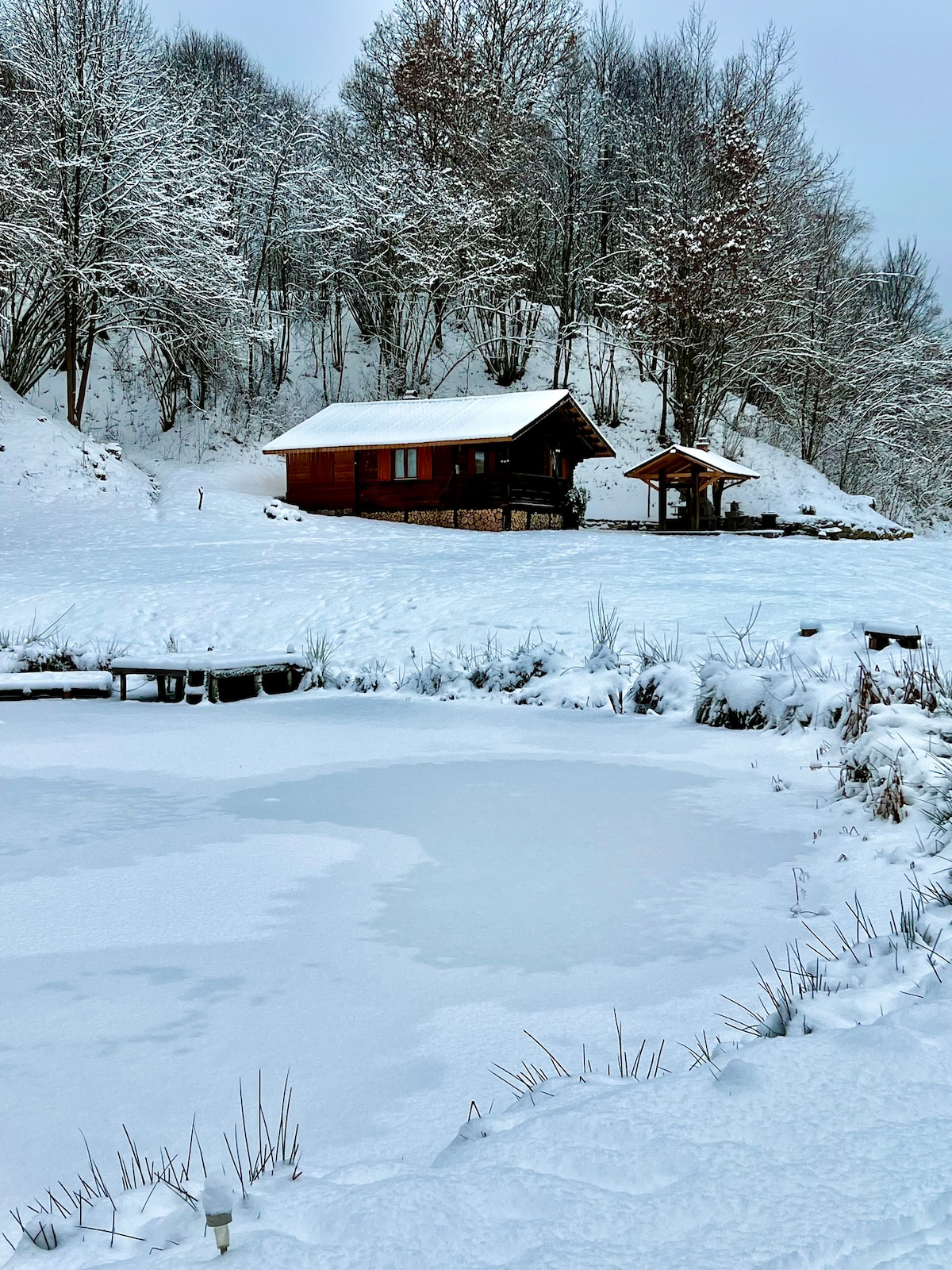 Log House