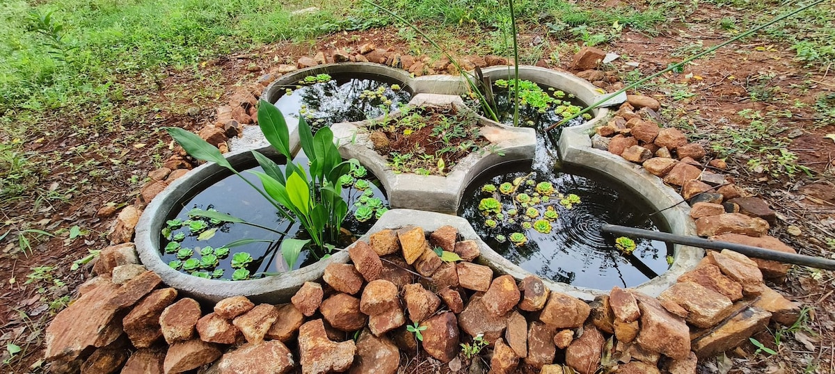 Farmstay on the Hills -Shalom Tranquil Forest Home