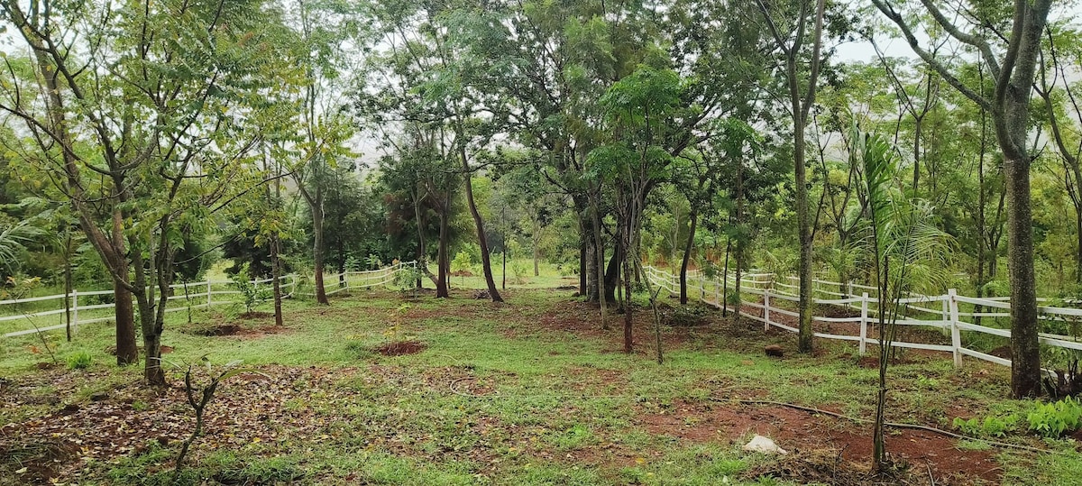 Farmstay on the Hills -Shalom Tranquil Forest Home