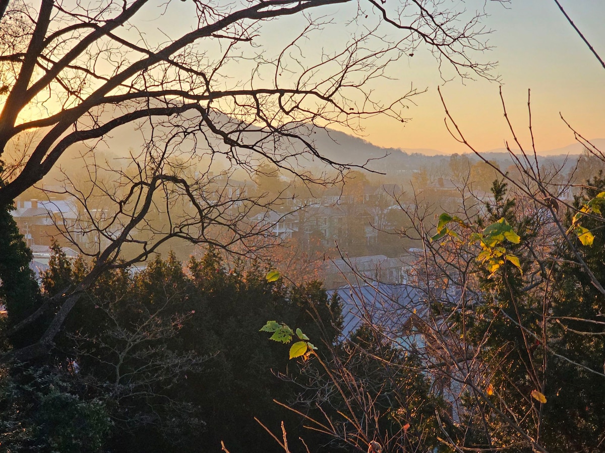 The Cozy Perch on West Frederick