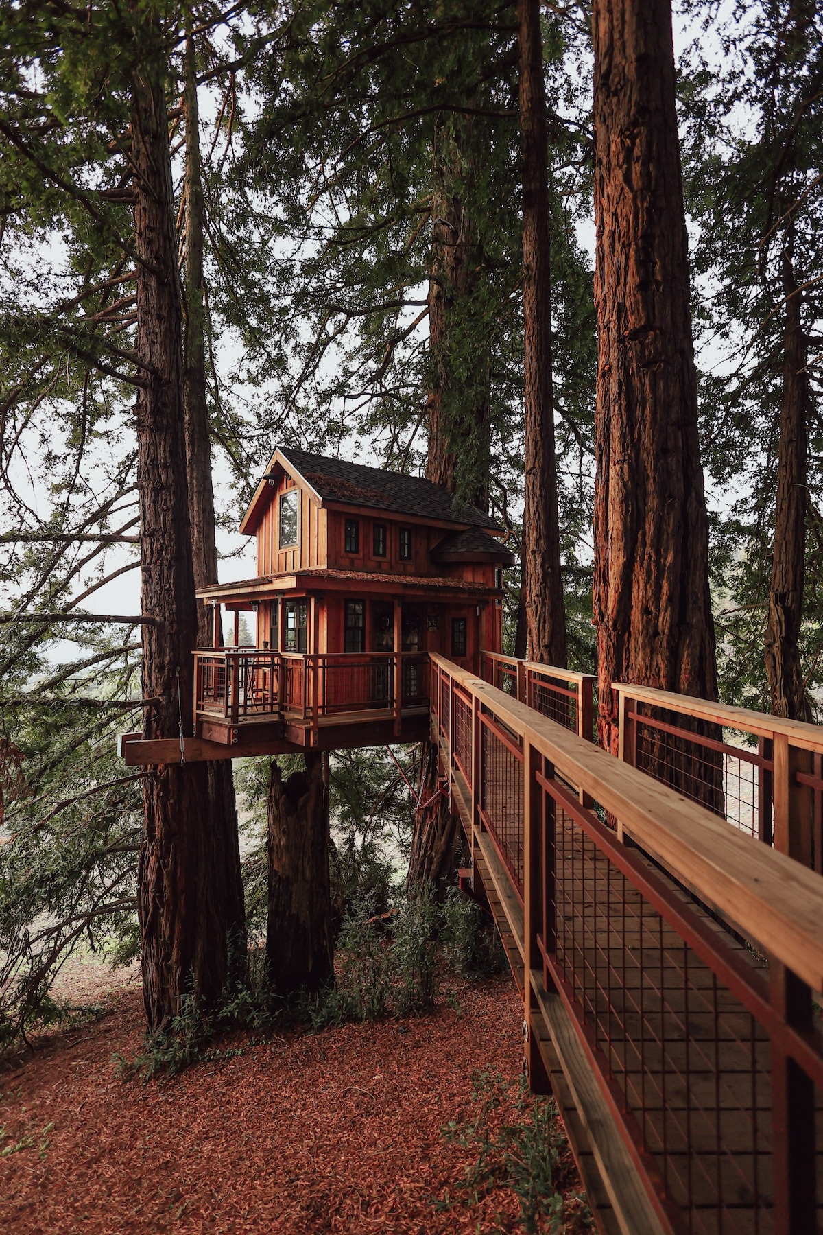 Pacific View Treehouse