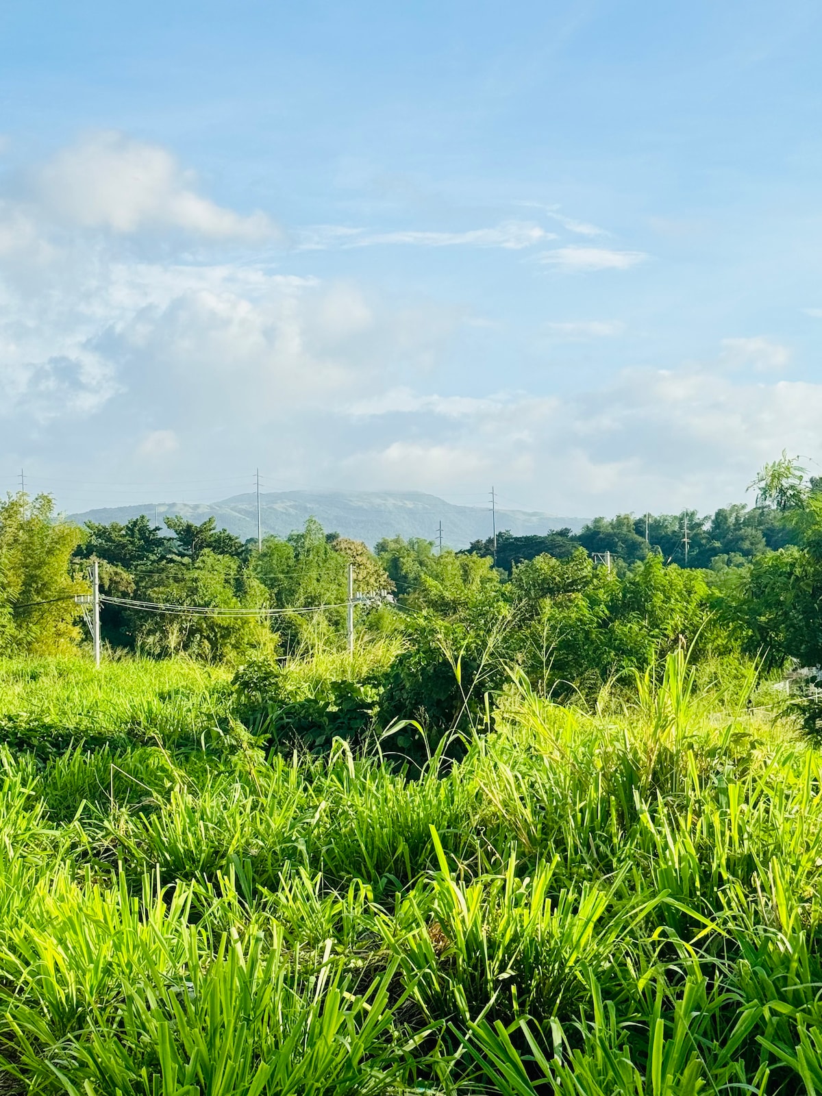 Pililia Rizal-Windmill & Sunset view tiny-home L-7