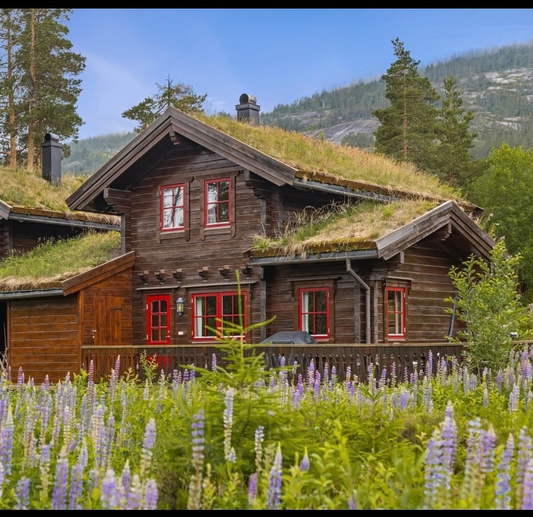 Vrådal Panorama