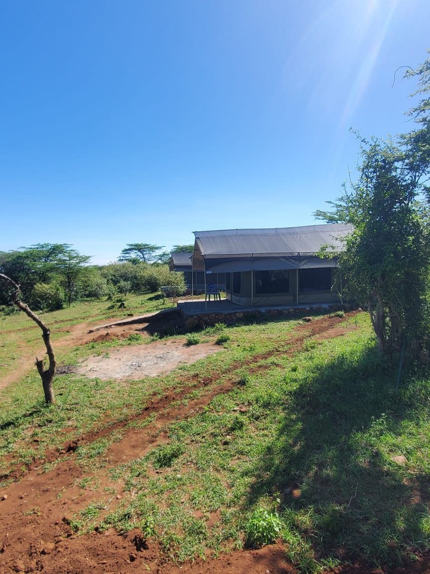 orboma maasai homestay