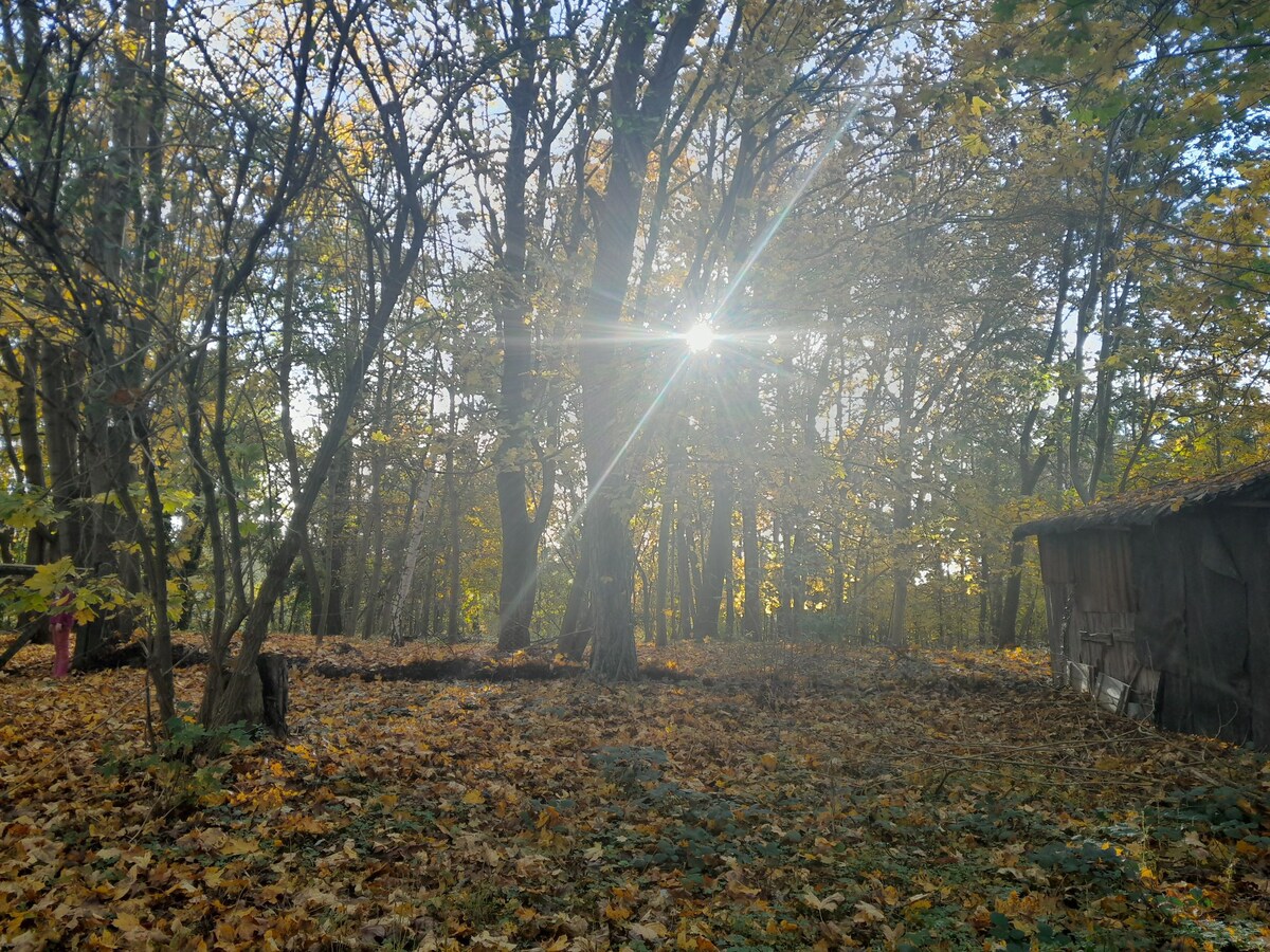 Kleines Bauernhofglück