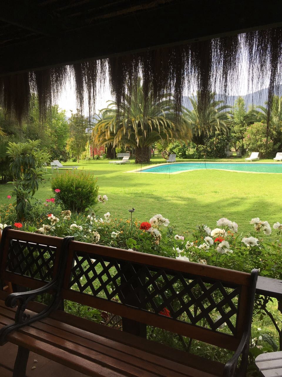 Casa de Campo en Olmué: Piscina y Cancha de Tenis