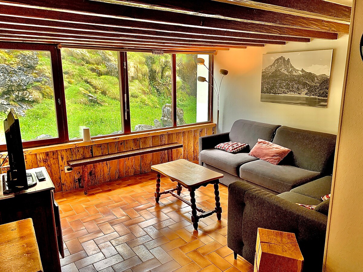 Appart Type Chalet, Gourette, Pied des Pistes.