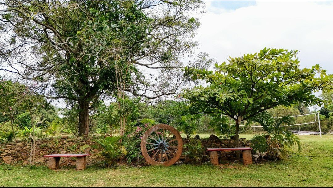 Vibrant & Plush Green farm house near Nelamangala