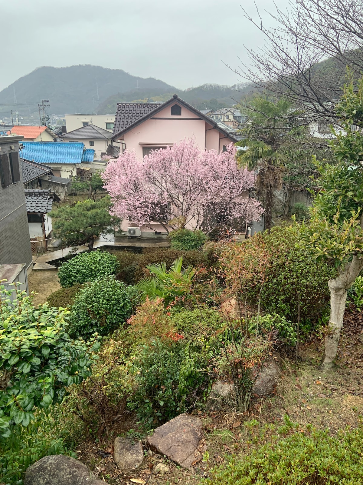広島駅からJR13分+徒歩6分  日本の着物と歴史的庭園と和室を体験可能