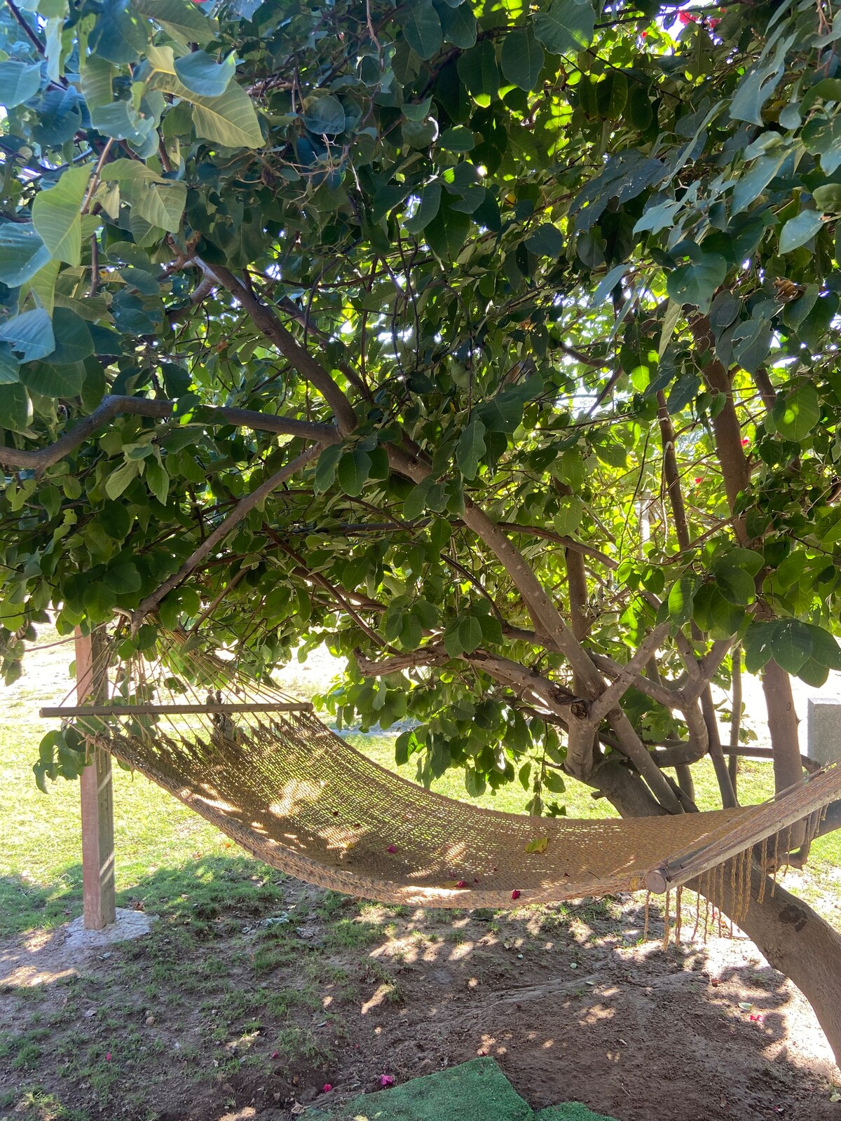 Casa de campo en Zapopan