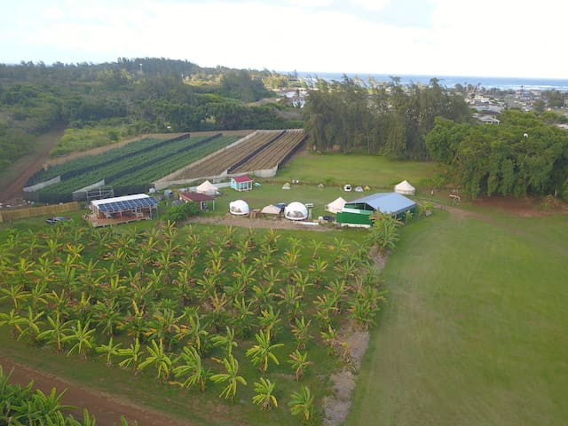 拉耶(Laie)的民宿